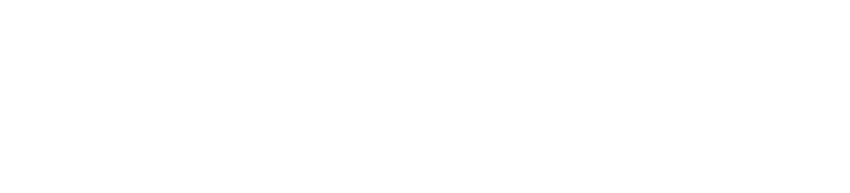 regulariza